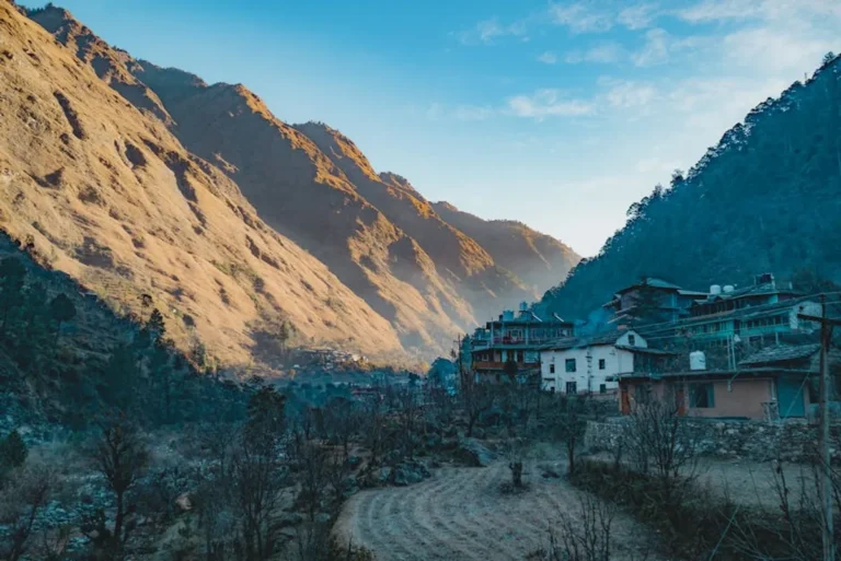 Jibhi: Complete Guide, Things to Do, and Travel Tips
